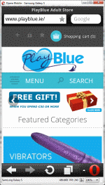 Mobile PlayBlue Responsive View
