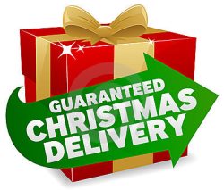 Christmas Delivery Guaranteed